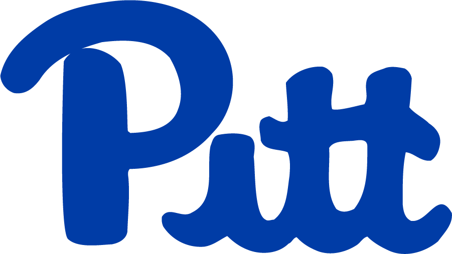 Pittsburgh Panthers 1973-1997 Alternate Logo v2 diy iron on heat transfer...